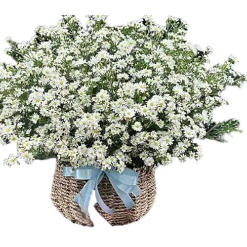 Giỏ Hoa Đẹp 49